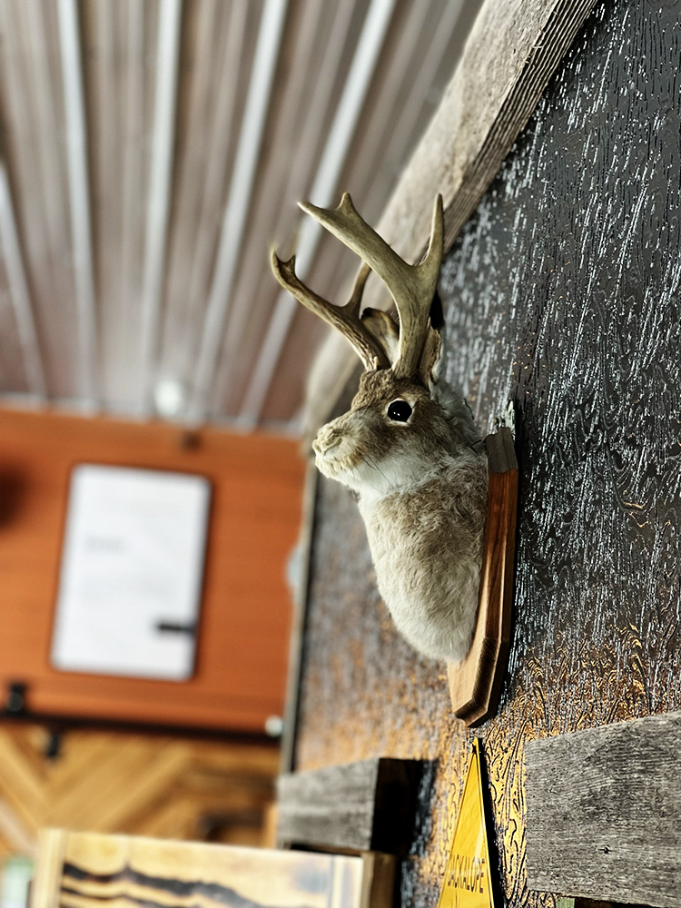 Jackalope at Slauterhouse Brewing Co. They are real.