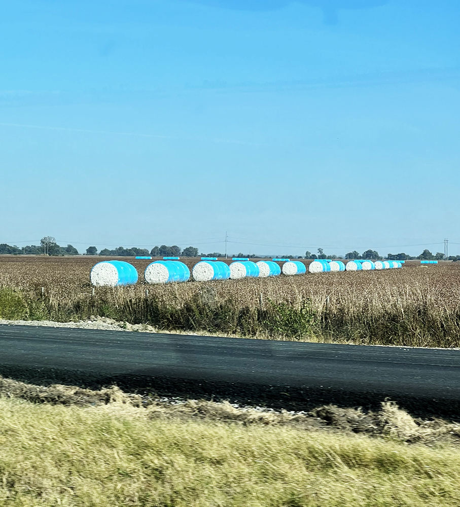 Harvested cotton bails in eastern Arkansas.